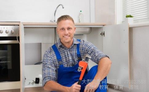 挂烫机排名-请问挂烫机品牌排名准确吗