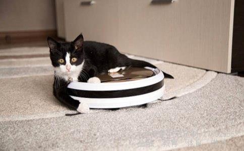 拼花地板-拼花地板的品牌有哪些请问欧象地板的拼花地板怎么样啊