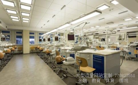 什么是乌木-什么是清漆请问什么是硬装什么是软装