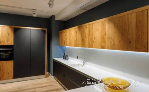 电炒锅报价-电炒锅和电磁炉哪个好想问问大家觉得电炒锅哪个品牌好啊