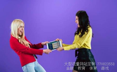 壁挂式采暖炉-威能燃气壁挂式采暖炉简介威能燃气壁挂式采暖炉简介