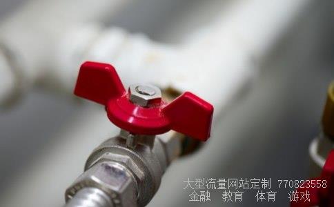 电线接头-请问德力西电线和鸿雁电线哪个好点