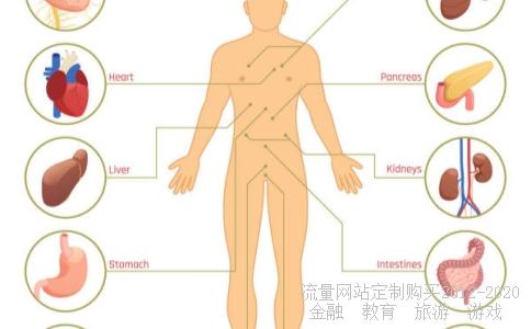上册四年级4年级上册语文,四年级上册语文作业相关图片