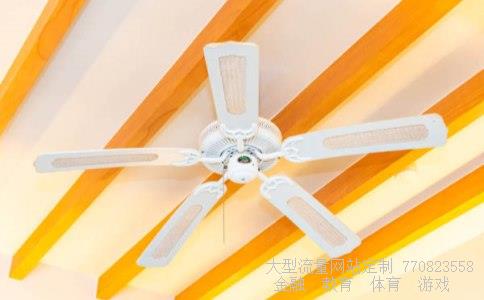 星星冷柜-星星冷柜怎么样请问雪村冷柜和铭雪冷柜哪个好吗